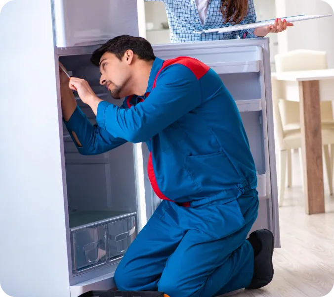 Freezer Maintenance Services