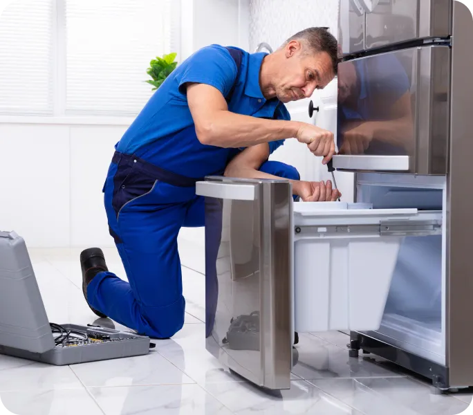 professional refrigerator repair services